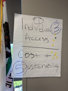 poster that shows 1 vote in green for individual access and 4 votes in yellow, and 5 votes in yellow for cost and sustainability